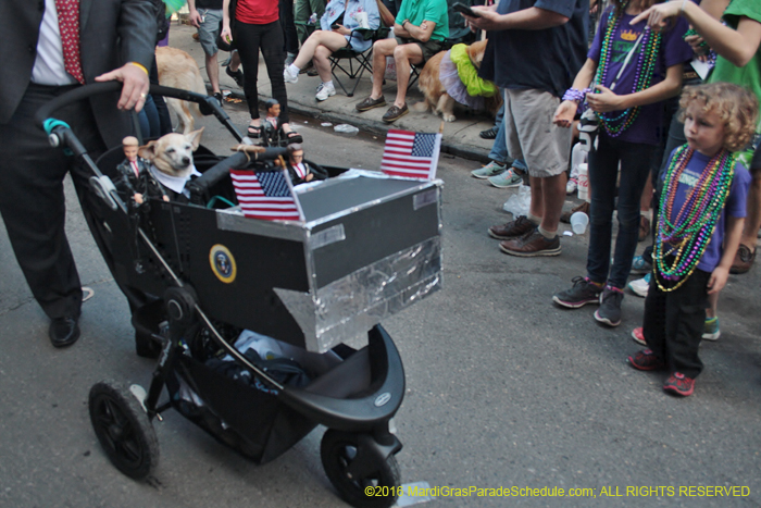 2016-Mystic-Krewe-of-Barkus-004750