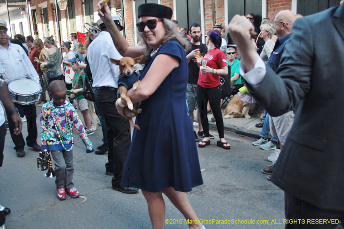 2016-Mystic-Krewe-of-Barkus-004752