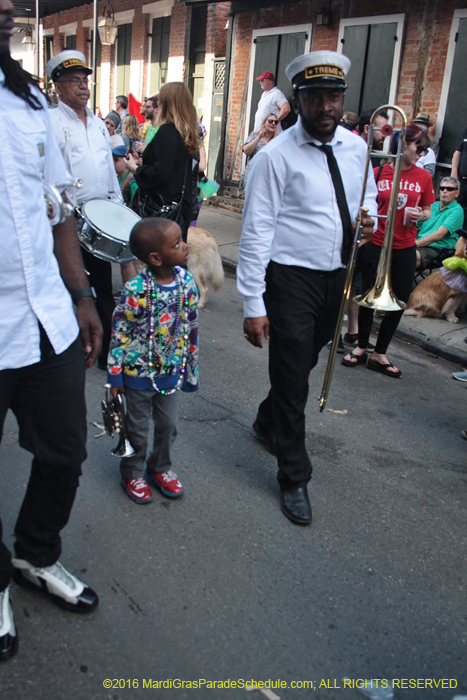 2016-Mystic-Krewe-of-Barkus-004753