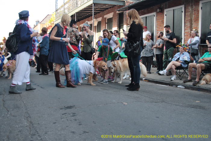 2016-Mystic-Krewe-of-Barkus-004755