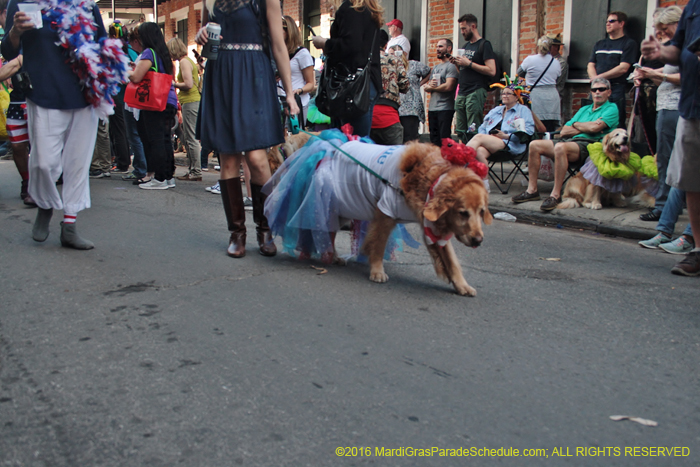 2016-Mystic-Krewe-of-Barkus-004758