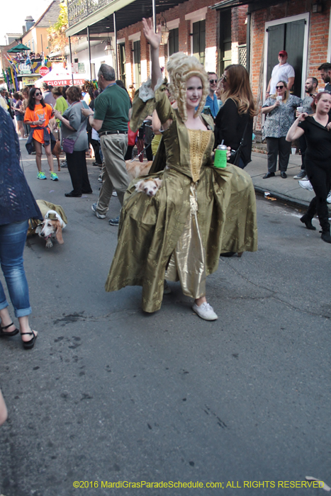 2016-Mystic-Krewe-of-Barkus-004763