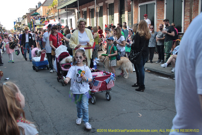 2016-Mystic-Krewe-of-Barkus-004771