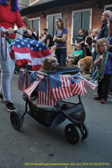 2016-Mystic-Krewe-of-Barkus-004785