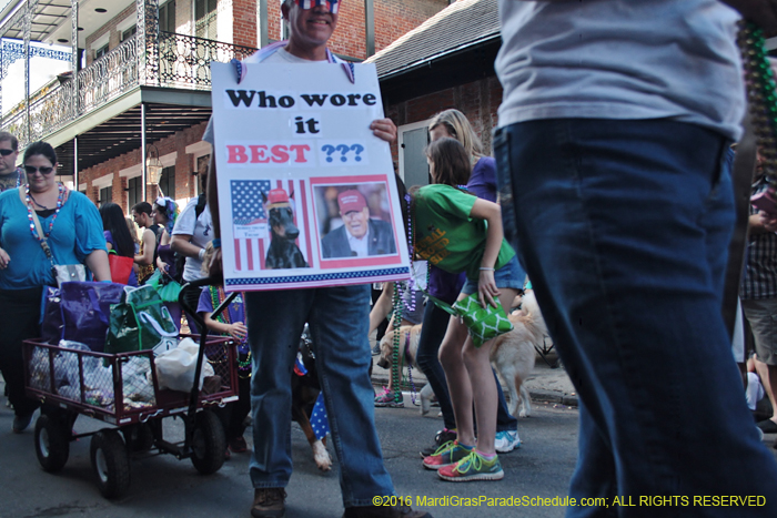 2016-Mystic-Krewe-of-Barkus-004800