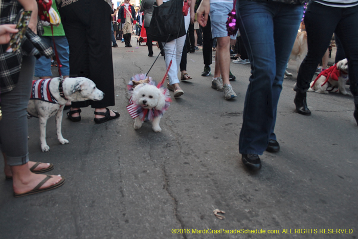 2016-Mystic-Krewe-of-Barkus-004812