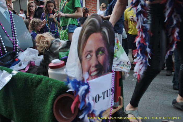 2016-Mystic-Krewe-of-Barkus-004823