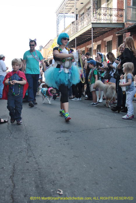 2016-Mystic-Krewe-of-Barkus-004828