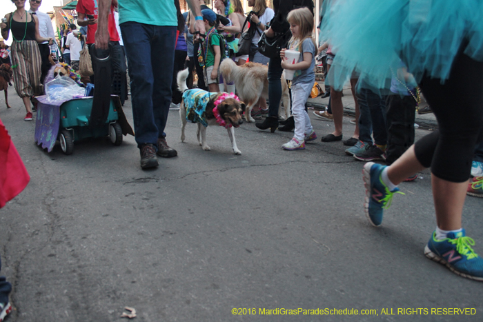 2016-Mystic-Krewe-of-Barkus-004829