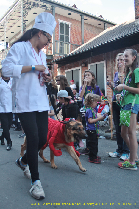 2016-Mystic-Krewe-of-Barkus-004832