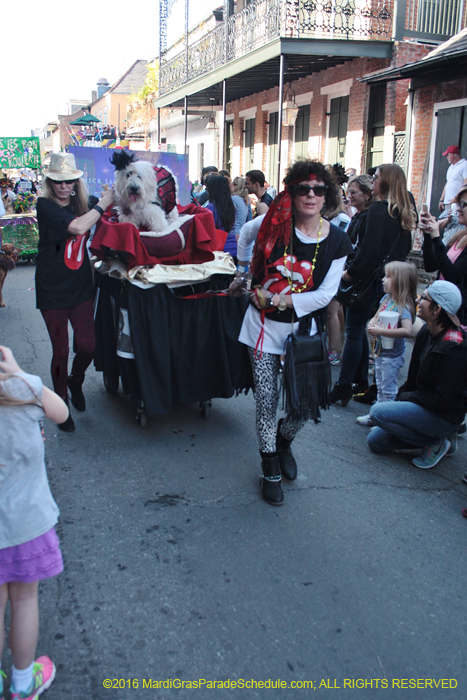 2016-Mystic-Krewe-of-Barkus-004834