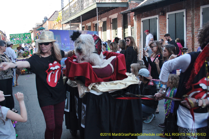 2016-Mystic-Krewe-of-Barkus-004835