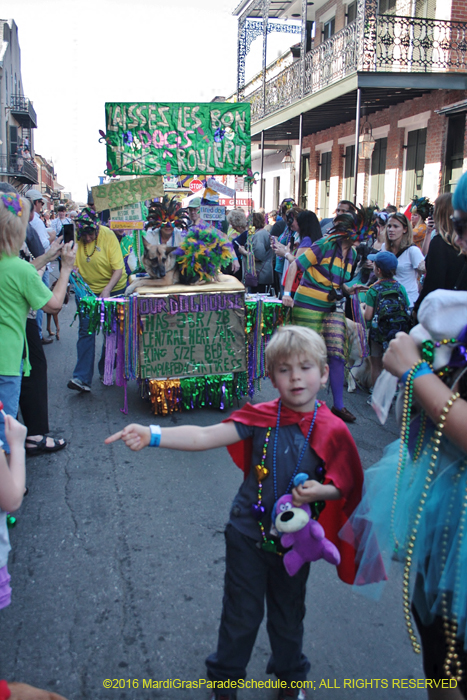 2016-Mystic-Krewe-of-Barkus-004838