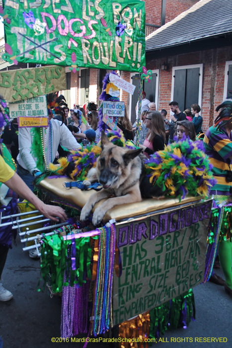 2016-Mystic-Krewe-of-Barkus-004840