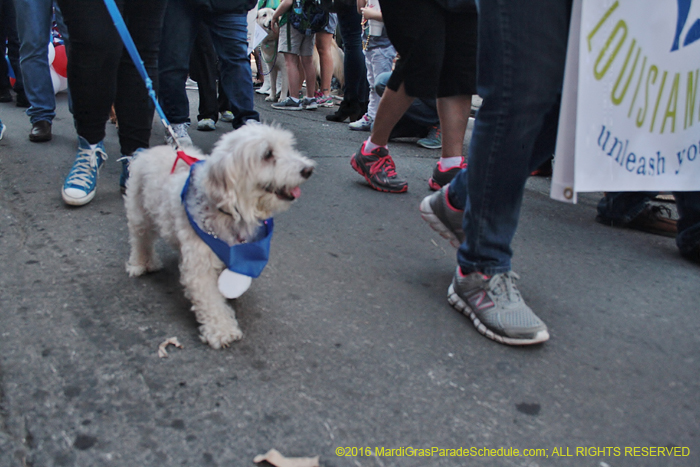 2016-Mystic-Krewe-of-Barkus-004844