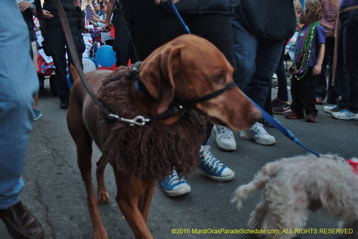 2016-Mystic-Krewe-of-Barkus-004846