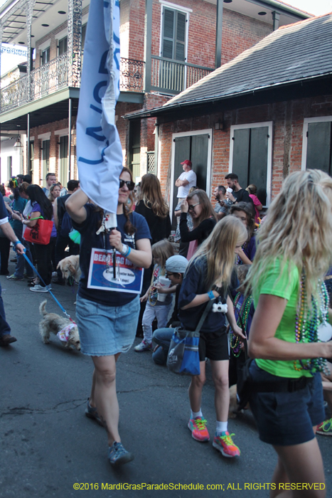 2016-Mystic-Krewe-of-Barkus-004851