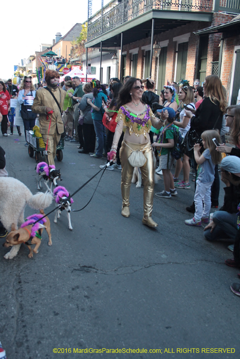 2016-Mystic-Krewe-of-Barkus-004865