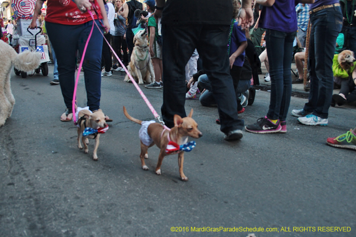 2016-Mystic-Krewe-of-Barkus-004872