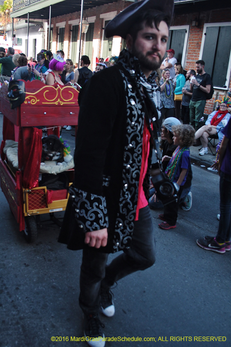 2016-Mystic-Krewe-of-Barkus-004874