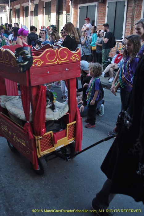 2016-Mystic-Krewe-of-Barkus-004876