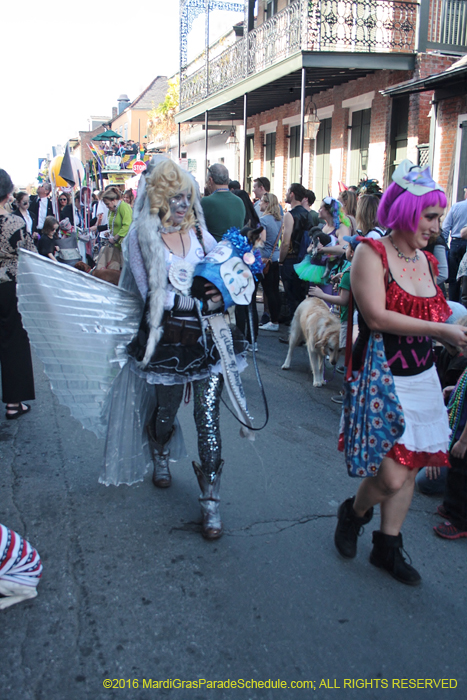 2016-Mystic-Krewe-of-Barkus-004880