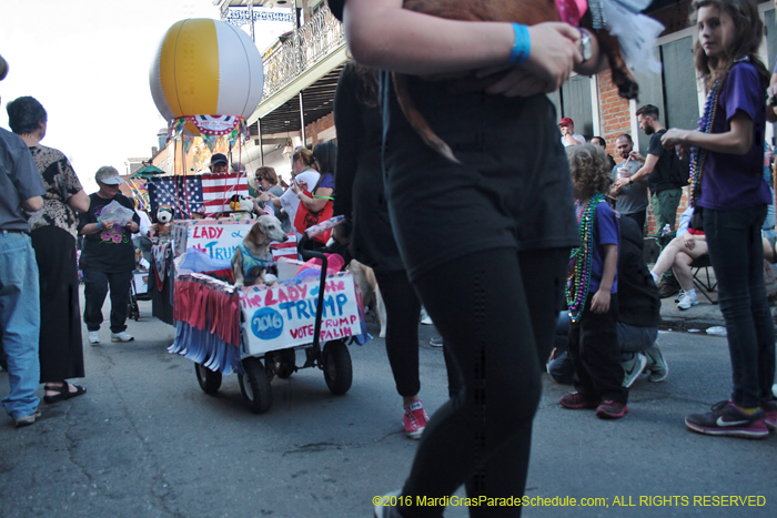 2016-Mystic-Krewe-of-Barkus-004890