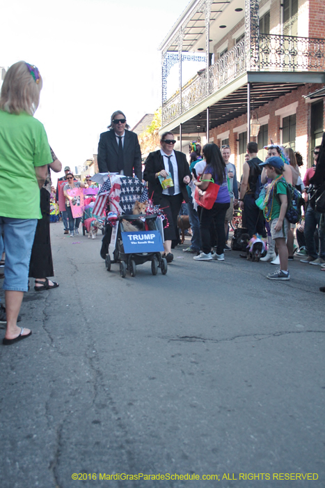 2016-Mystic-Krewe-of-Barkus-004899