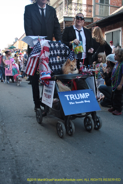 2016-Mystic-Krewe-of-Barkus-004902