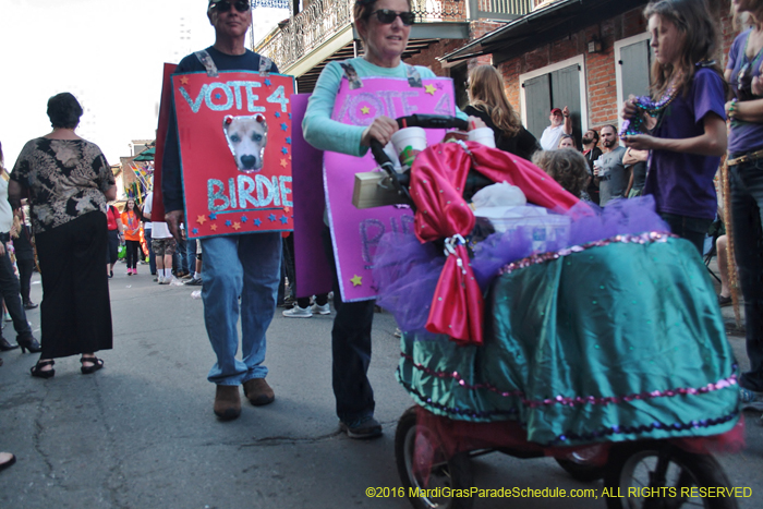 2016-Mystic-Krewe-of-Barkus-004907