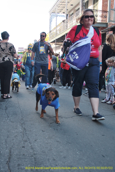 2016-Mystic-Krewe-of-Barkus-004912