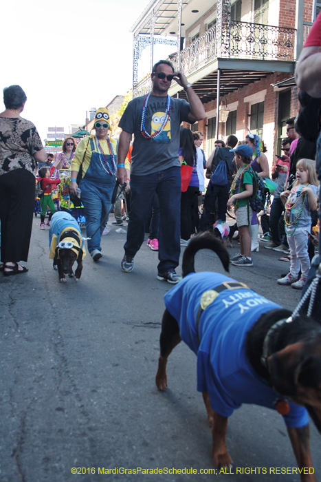 2016-Mystic-Krewe-of-Barkus-004913