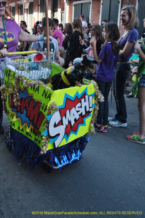 2016-Mystic-Krewe-of-Barkus-004917