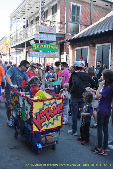 2016-Mystic-Krewe-of-Barkus-004920