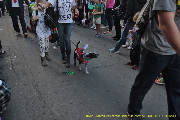 2016-Mystic-Krewe-of-Barkus-004923