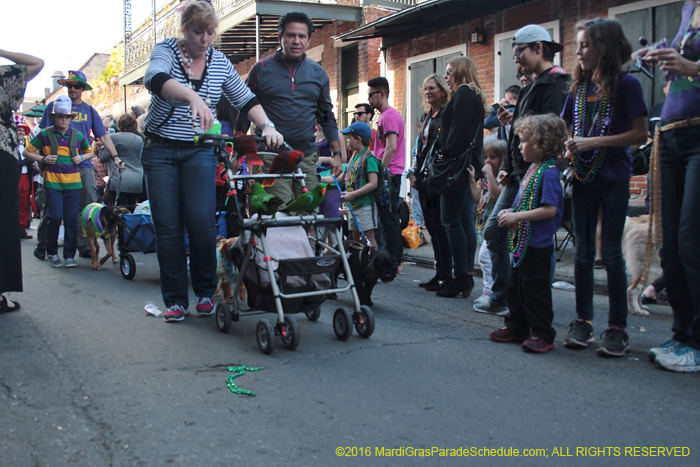 2016-Mystic-Krewe-of-Barkus-004941