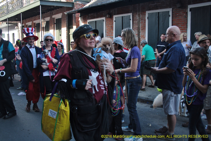 2016-Mystic-Krewe-of-Barkus-004952