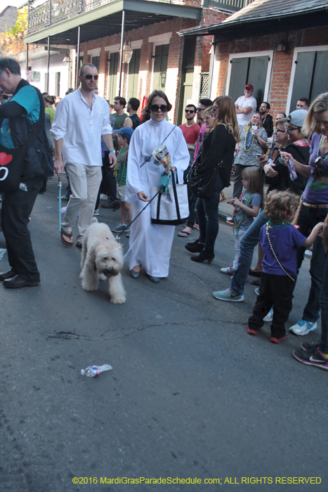 2016-Mystic-Krewe-of-Barkus-004957