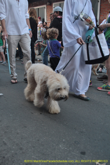 2016-Mystic-Krewe-of-Barkus-004960