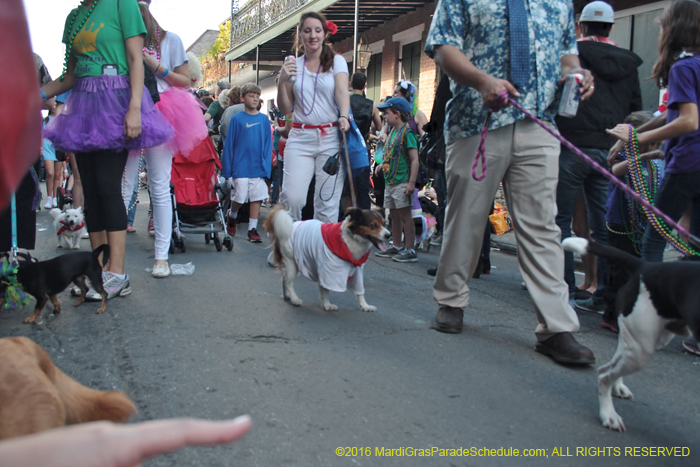 2016-Mystic-Krewe-of-Barkus-004965