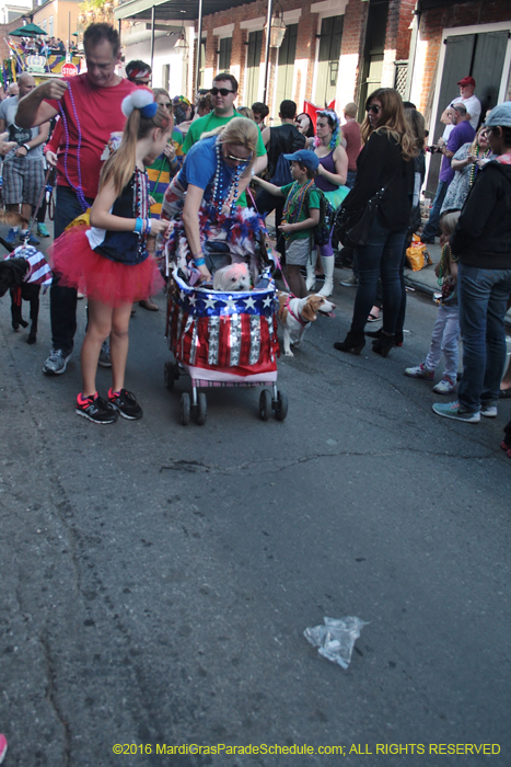 2016-Mystic-Krewe-of-Barkus-004974