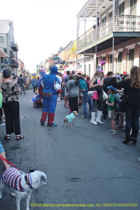 2016-Mystic-Krewe-of-Barkus-004991