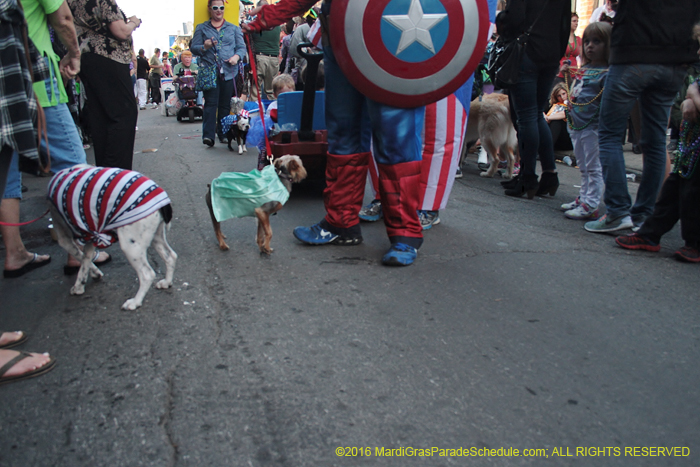 2016-Mystic-Krewe-of-Barkus-004993