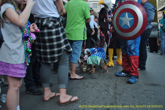 2016-Mystic-Krewe-of-Barkus-004995