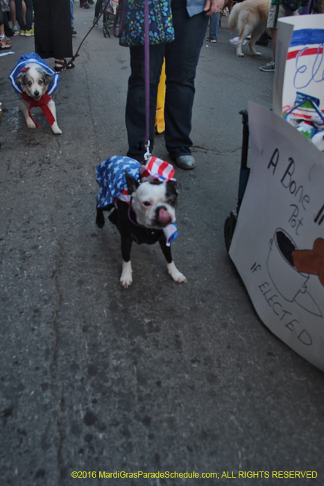 2016-Mystic-Krewe-of-Barkus-005001