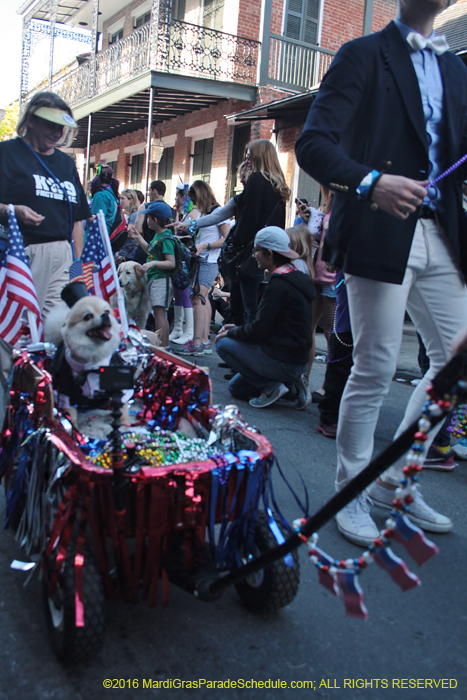 2016-Mystic-Krewe-of-Barkus-005011