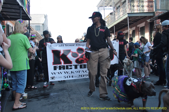 2016-Mystic-Krewe-of-Barkus-005015