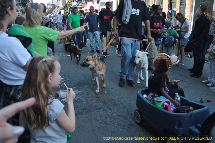 2016-Mystic-Krewe-of-Barkus-005016