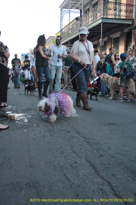 2016-Mystic-Krewe-of-Barkus-005019