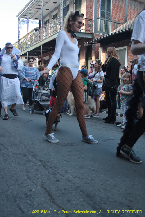 2016-Mystic-Krewe-of-Barkus-005021